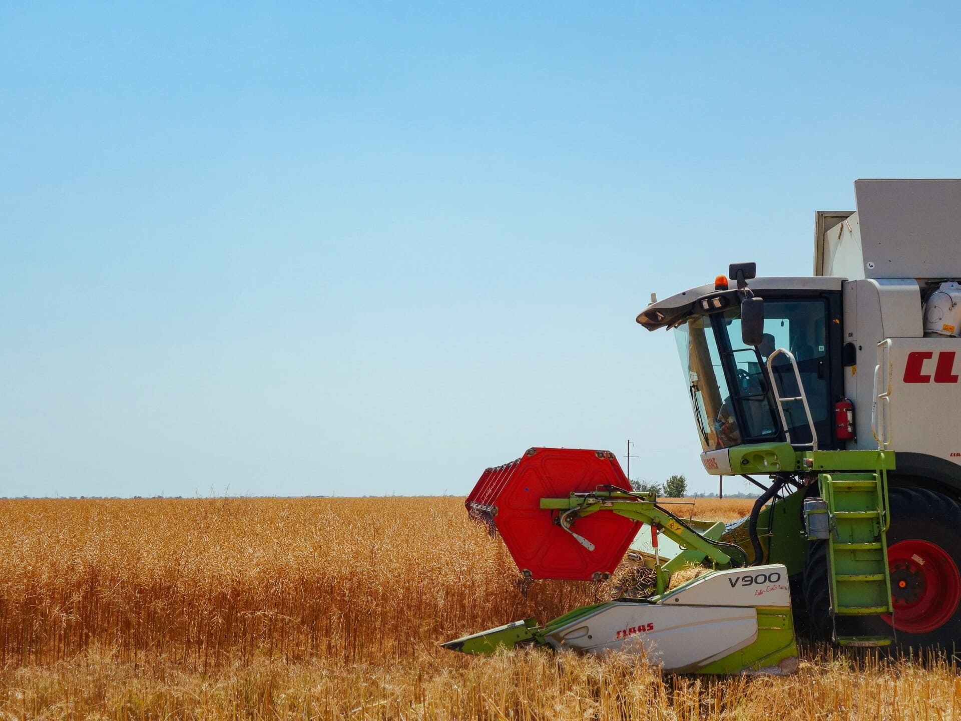 ОБМОЛОТ ОЗИМОГО РІПАКУ ТРИВАЄ В ГОСПОДАРСТВАХ TEKOM AGRO GROUP