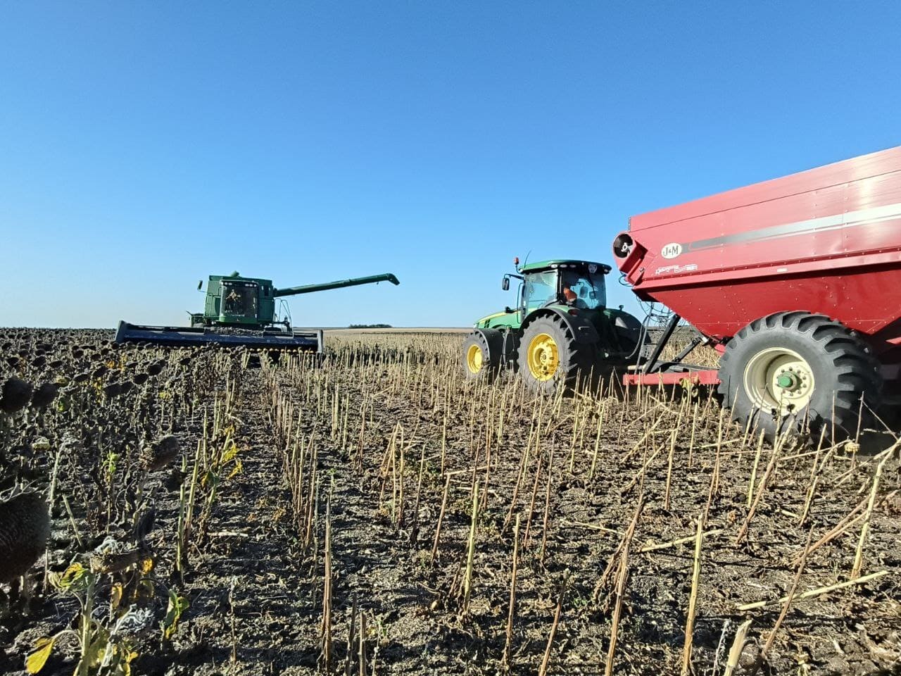 В TEKOM AGRO GROUP ТРИВАЄ ЗБІР УРОЖАЮ-2025
