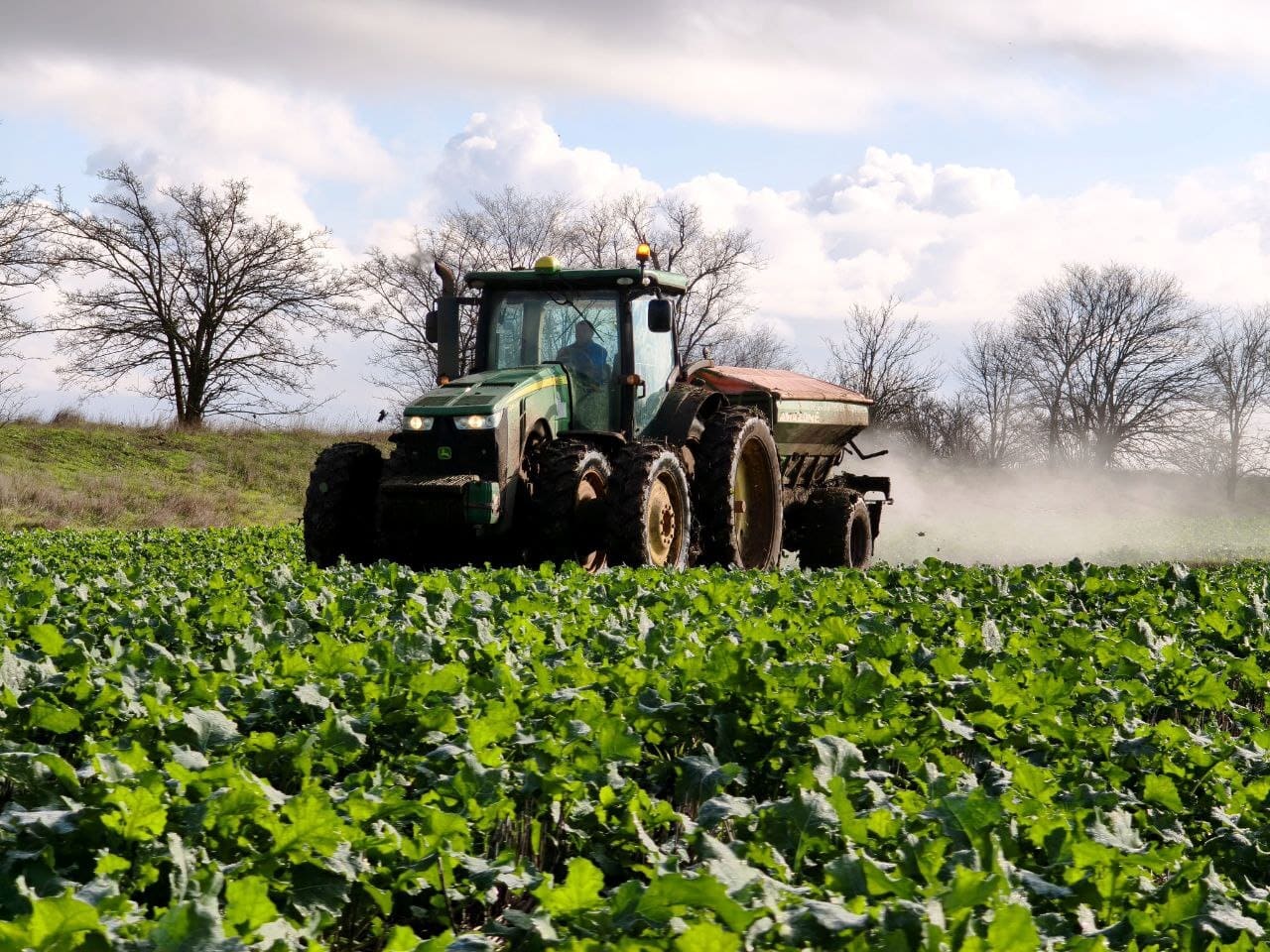 В ГОСПОДАРСТВАХ СИСТЕМИ 