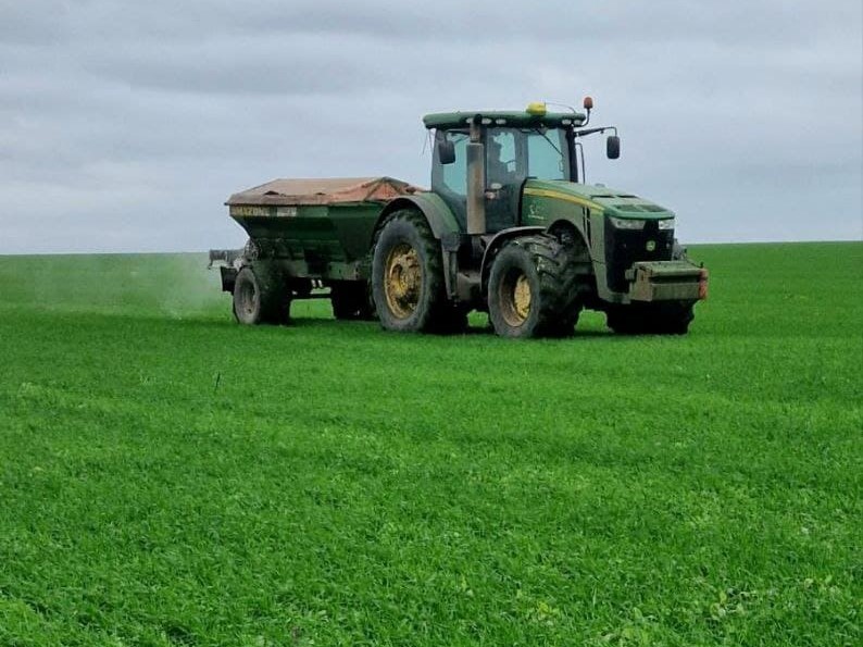 СУЛЬФАТ АМОНІЮ У ТЕХНОЛОГІЧНІЙ КАРТІ ЖИВЛЕННЯ 