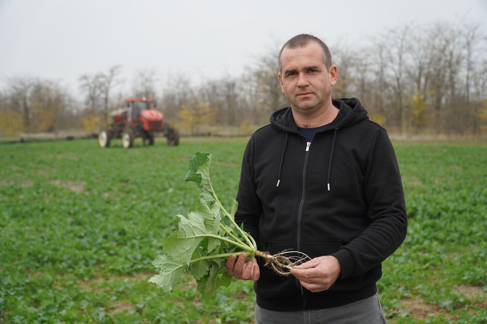 ВНЕСЕННЯ ПРОТИЗЛАКОВОГО ГЕРБІЦИДУ НА ПОСІВАХ ОЗИМОГО РІПАКУ - ВАЖЛИВИЙ АГРОПРИЙОМ