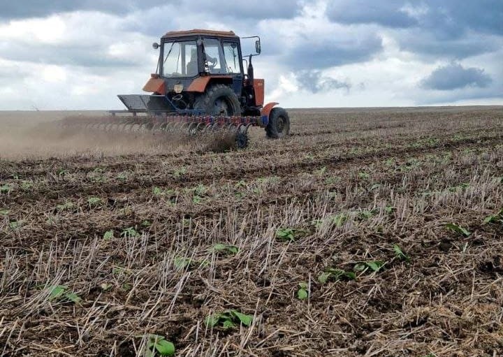 РОТАЦІЙНЕ БОРОНУВАННЯ ПОСІВІВ СОНЯШНИКУ – ВАЖЛИВИЙ АГРОПРИЙОМ