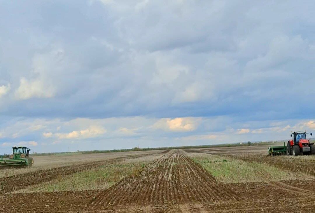 TEKOM AGRO GROUP РОЗПОЧАВ ПОСІВ ГОРОХУ ЗИМУЮЧОГО