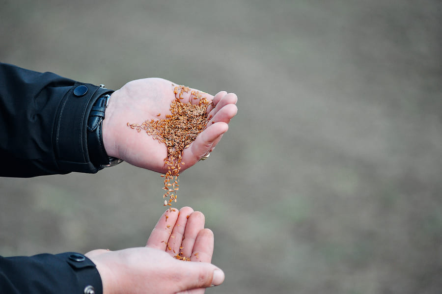 В TEKOM AGRO GROUP РОЗПОЧАТО ПОСІВ ЛЬОНУ: СТАРТУВАЛИ РОБОТИ В 