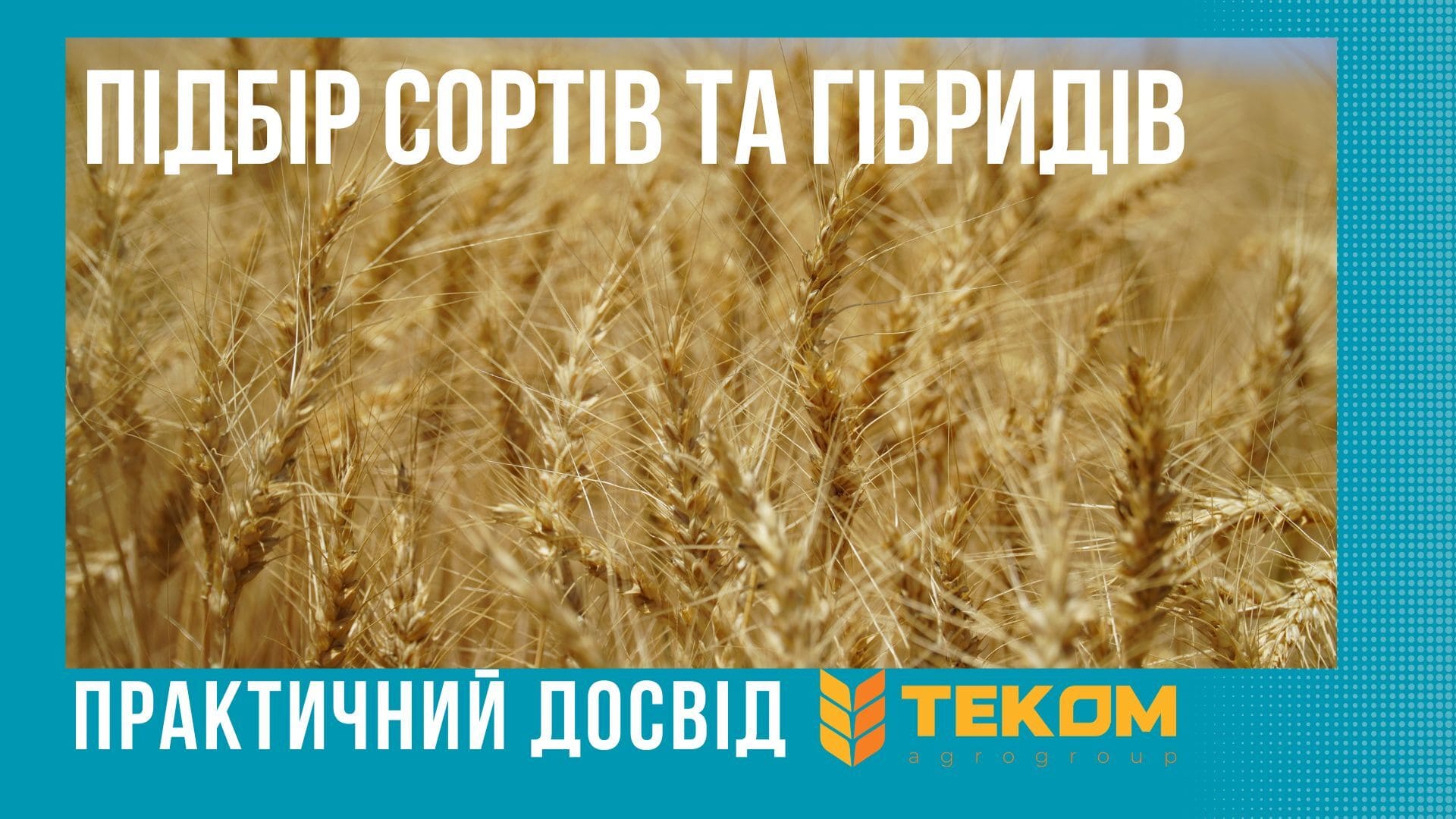 СОРТОВА ПОЛІТИКА, В TEKOM AGRO GROUP, СЕРЕД ПРІОРИТЕТНИХ ПИТАНЬ РОЗВИТКУ 