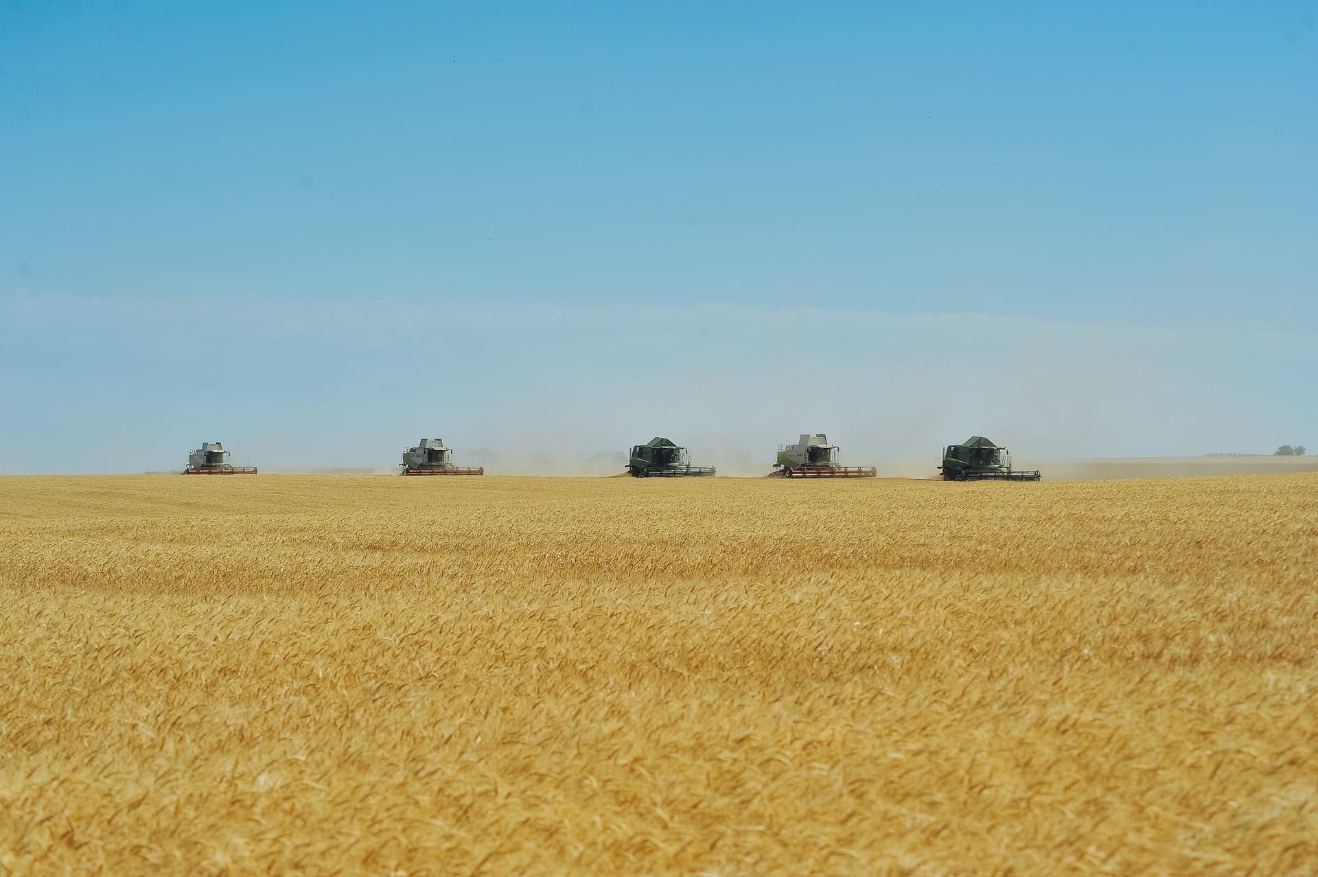 В TEKOM AGRO GROUP РОЗПОЧАТО ЗБІР ВРОЖАЮ-2025 ОЗИМОЇ ПШЕНИЦІ