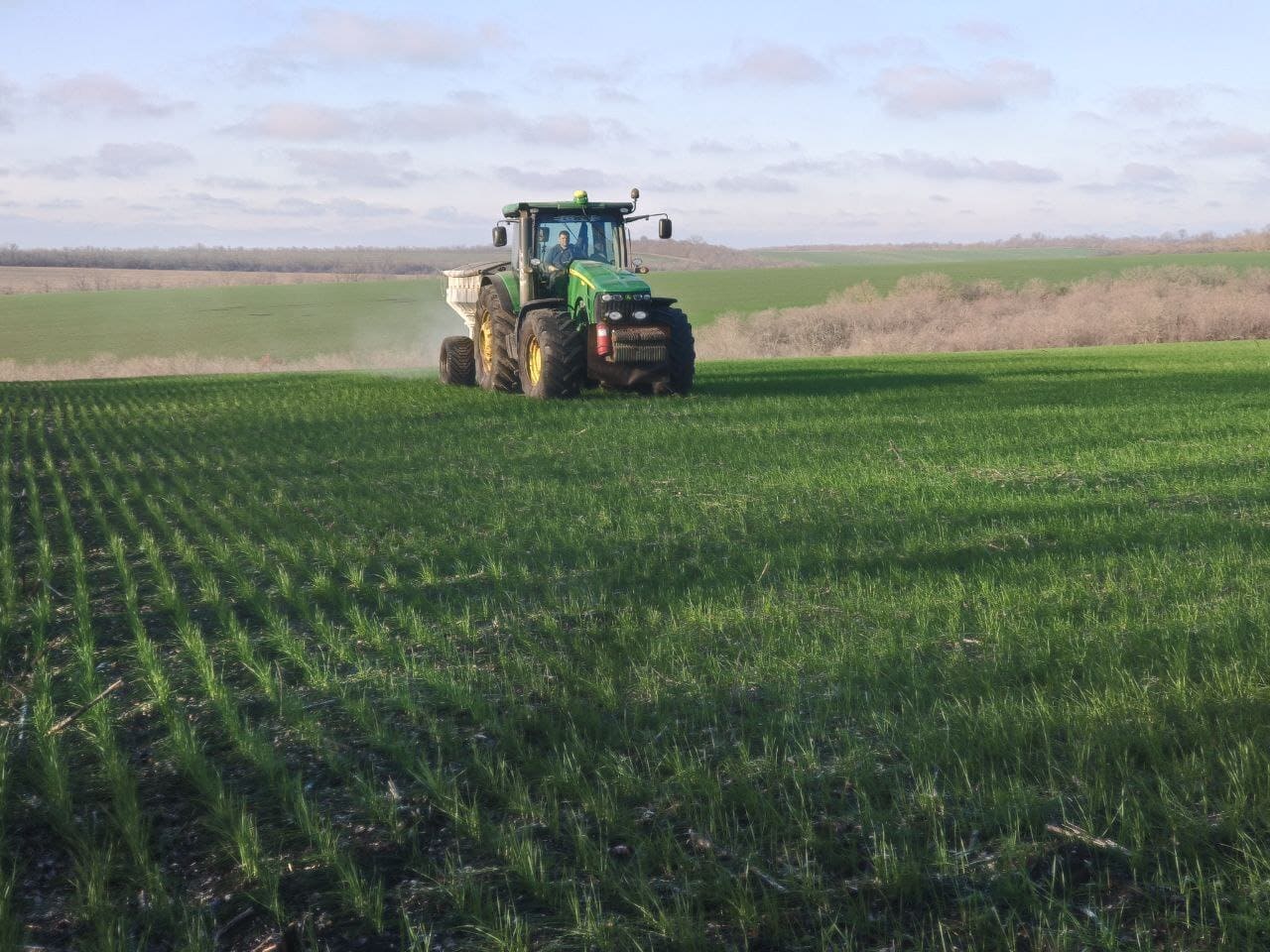 СУЛЬФАТ АМОНІЮ ДОЦІЛЬНО ВНОСИТИ ПО МЕРЗЛОТАЛОМУ ҐРУНТУ